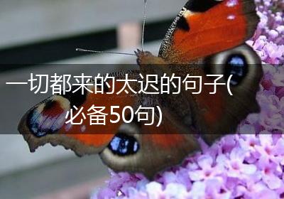 一切都来的太迟的句子(必备50句)