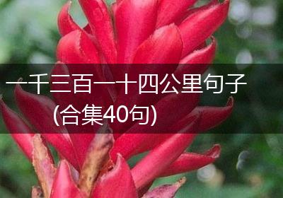 一千三百一十四公里句子(合集40句)