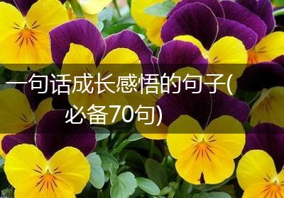 一句话成长感悟的句子(必备70句)