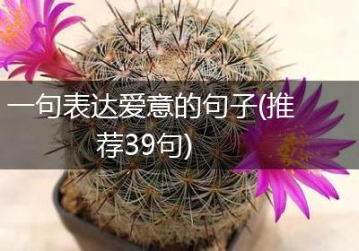 一句表达爱意的句子(推荐39句)