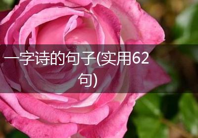 一字诗的句子(实用62句)