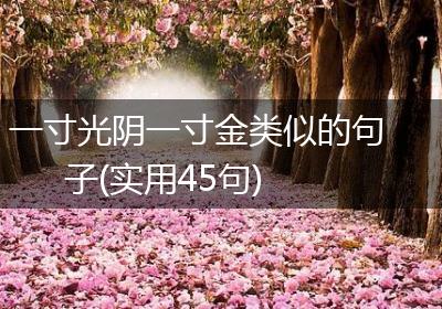 一寸光阴一寸金类似的句子(实用45句)
