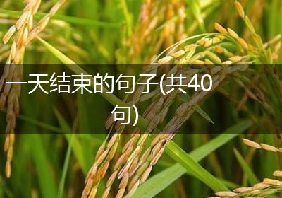 一天结束的句子(共40句)