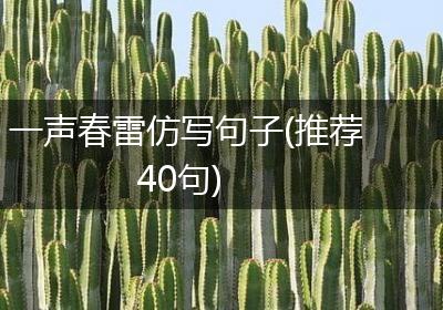 一声春雷仿写句子(推荐40句)