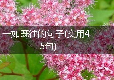 一如既往的句子(实用45句)