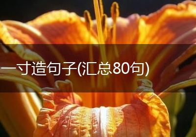 一寸造句子(汇总80句)