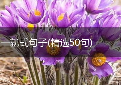 一就式句子(精选50句)