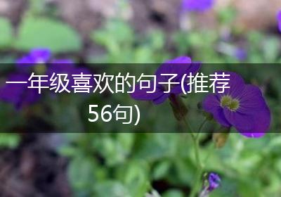 一年级喜欢的句子(推荐56句)