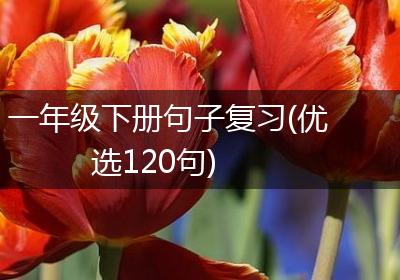 一年级下册句子复习(优选120句)