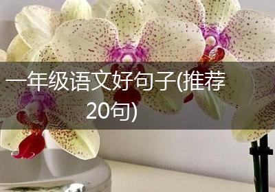 一年级语文好句子(推荐20句)