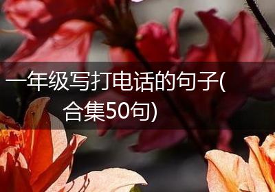 一年级写打电话的句子(合集50句)