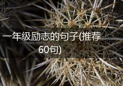 一年级励志的句子(推荐60句)