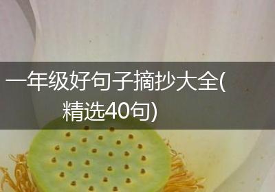 一年级好句子摘抄大全(精选40句)