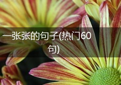 一张张的句子(热门60句)