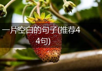 一片空白的句子(推荐44句)