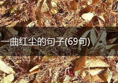 一曲红尘的句子(69句)
