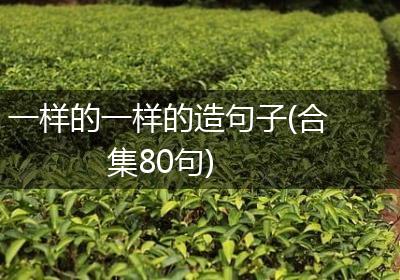 一样的一样的造句子(合集80句)