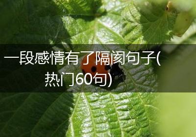 一段感情有了隔阂句子(热门60句)