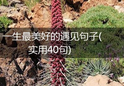 一生最美好的遇见句子(实用40句)