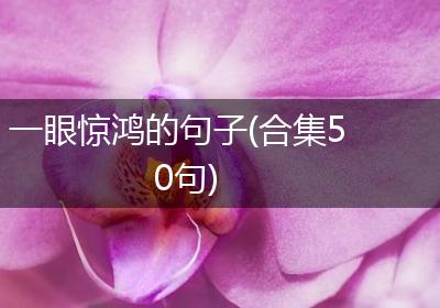 一眼惊鸿的句子(合集50句)