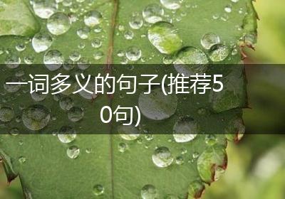 一词多义的句子(推荐50句)