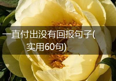 一直付出没有回报句子(实用60句)