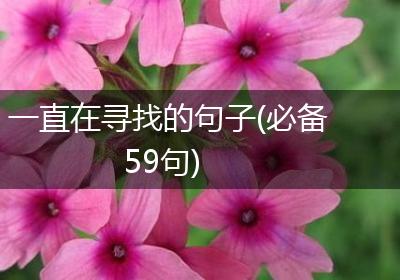 一直在寻找的句子(必备59句)