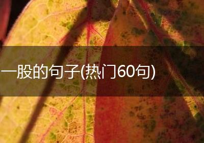 一股的句子(热门60句)