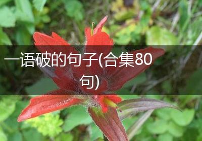 一语破的句子(合集80句)