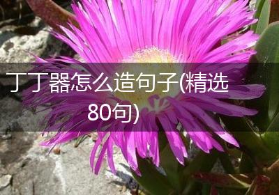 丁丁器怎么造句子(精选80句)