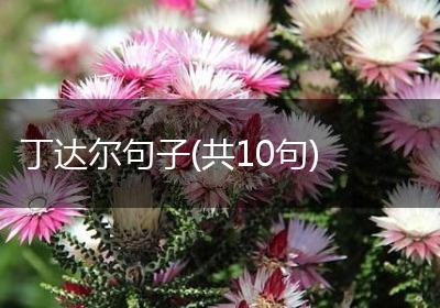 丁达尔句子(共10句)