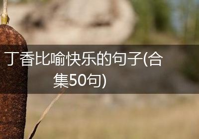 丁香比喻快乐的句子(合集50句)