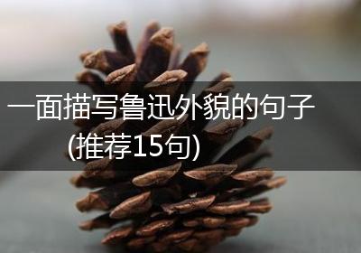 一面描写鲁迅外貌的句子(推荐15句)