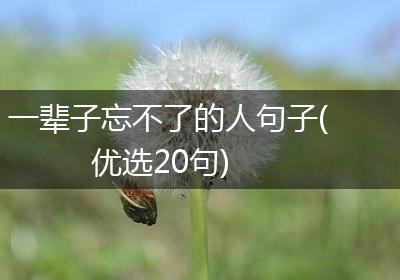 一辈子忘不了的人句子(优选20句)