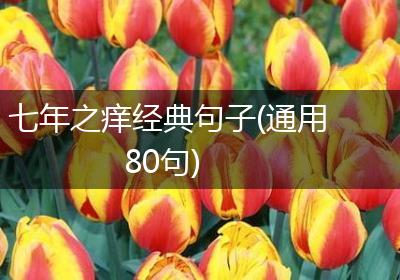 七年之痒经典句子(通用80句)