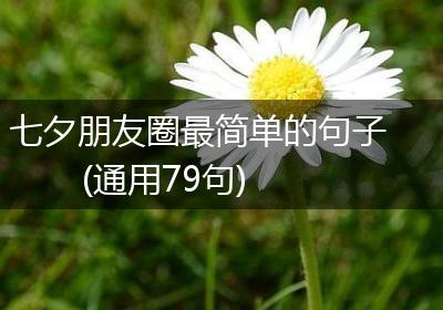 七夕朋友圈最简单的句子(通用79句)