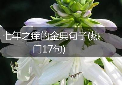 七年之痒的金典句子(热门17句)
