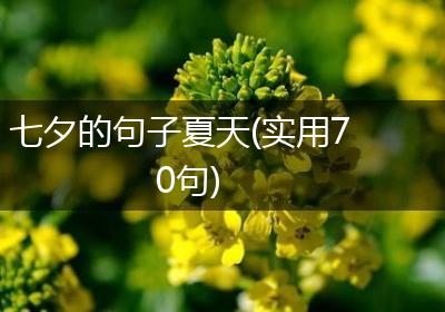 七夕的句子夏天(实用70句)