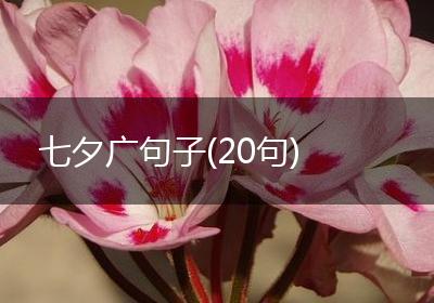 七夕广句子(20句)