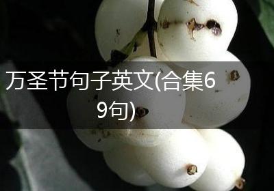 万圣节句子英文(合集69句)