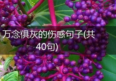 万念俱灰的伤感句子(共40句)