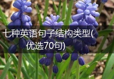 七种英语句子结构类型(优选70句)