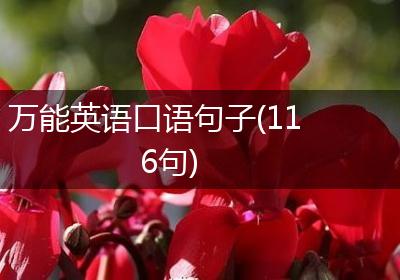 万能英语口语句子(116句)