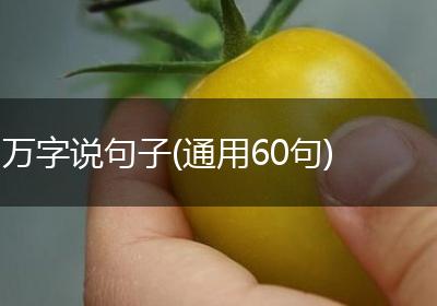 万字说句子(通用60句)