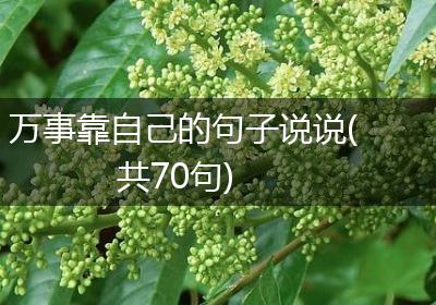 万事靠自己的句子说说(共70句)