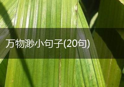 万物渺小句子(20句)