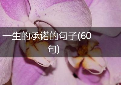 一生的承诺的句子(60句)