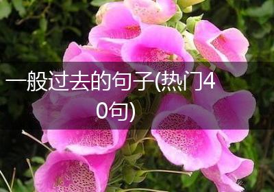 一般过去的句子(热门40句)