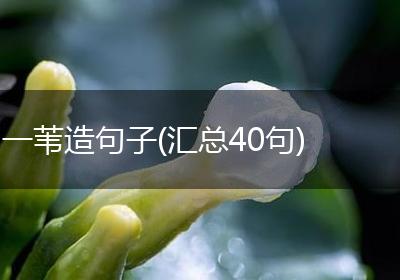 一苇造句子(汇总40句)