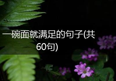 一碗面就满足的句子(共60句)